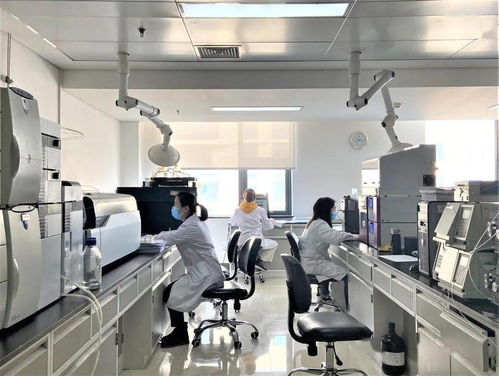 发挥中轻集团检验检测综合服务优势，以科技中介服务赋能行业高质量发展